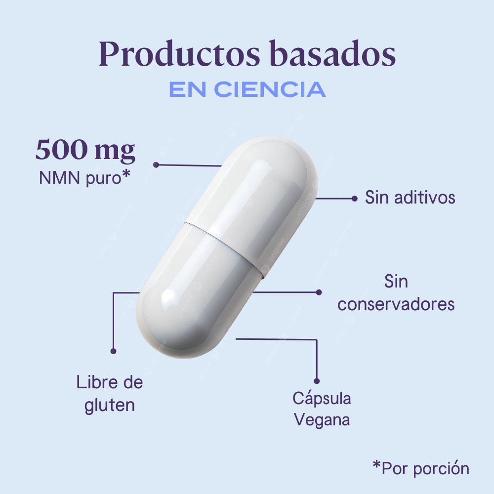 Kit Anti-estrés | Suscripción