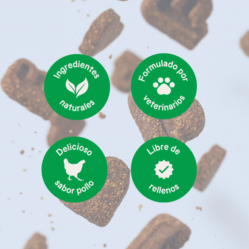 B-Pet | Gastro Aid