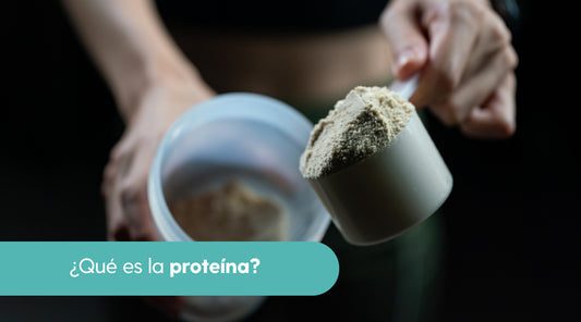 ¿Que es la proteina y cuánta debes consumir?