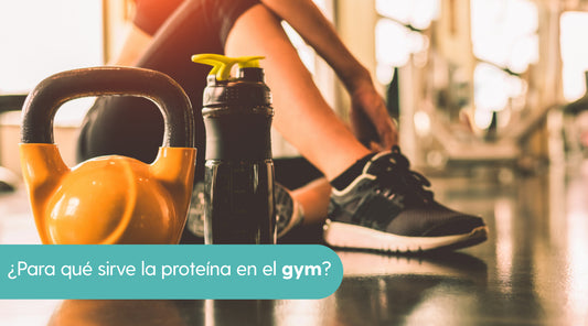 ¿Para qué sirve la proteína en el gym?