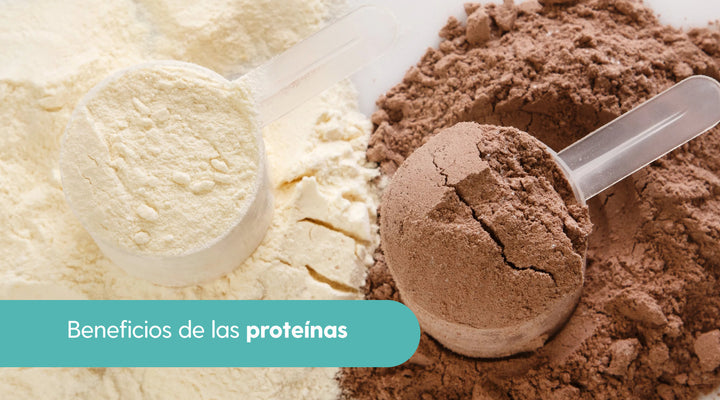 5 Beneficios de proteínas respaldados por la ciencia y cómo obtener lo que necesitamos
