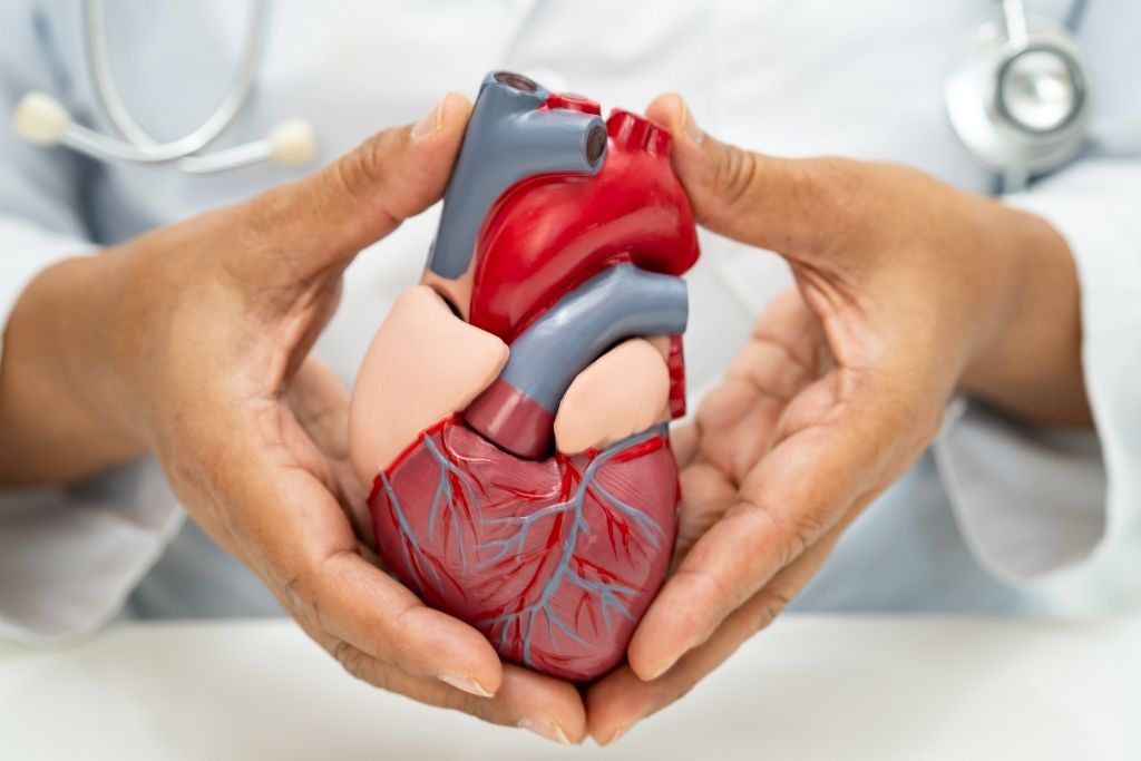 factores de riesgo cardiovascular