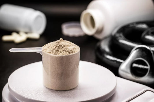 isolate protein