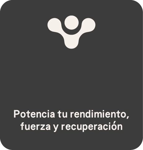 Sport Nutrition