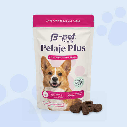 Pelaje Plus | B-Pet