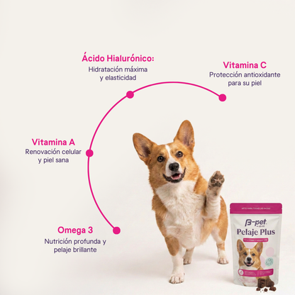 Pelaje Plus | B-Pet