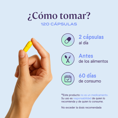 Berberina - 120 Cápsulas | 60 porciones