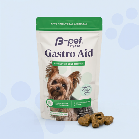 Gastro Aid | B-Pet