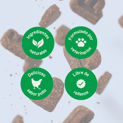 B-Pet | Gastro Aid