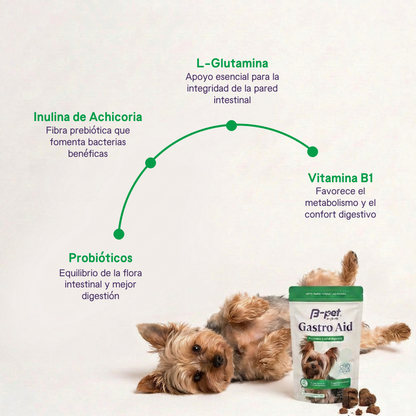 B-Pet | Gastro Aid