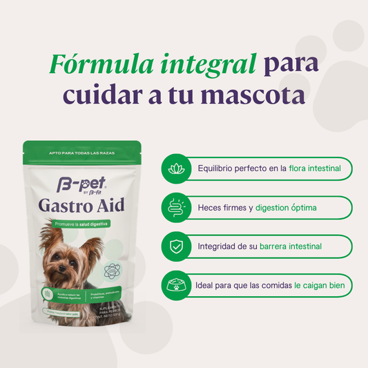 Gastro Aid | B-Pet