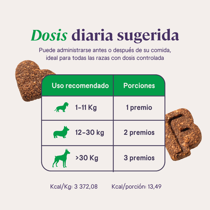 B-Pet | Gastro Aid