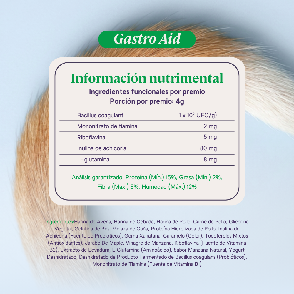 B-Pet | Gastro Aid