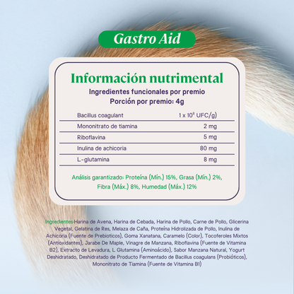 B-Pet | Gastro Aid