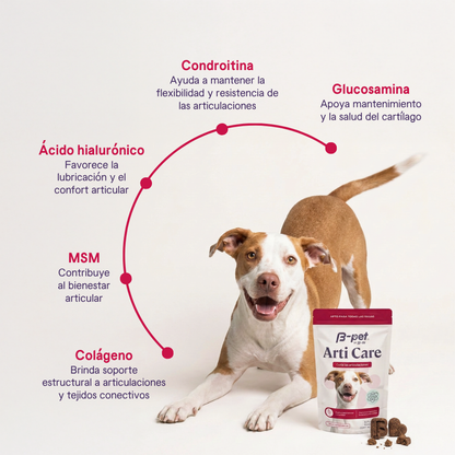 Arti Care | B-Pet