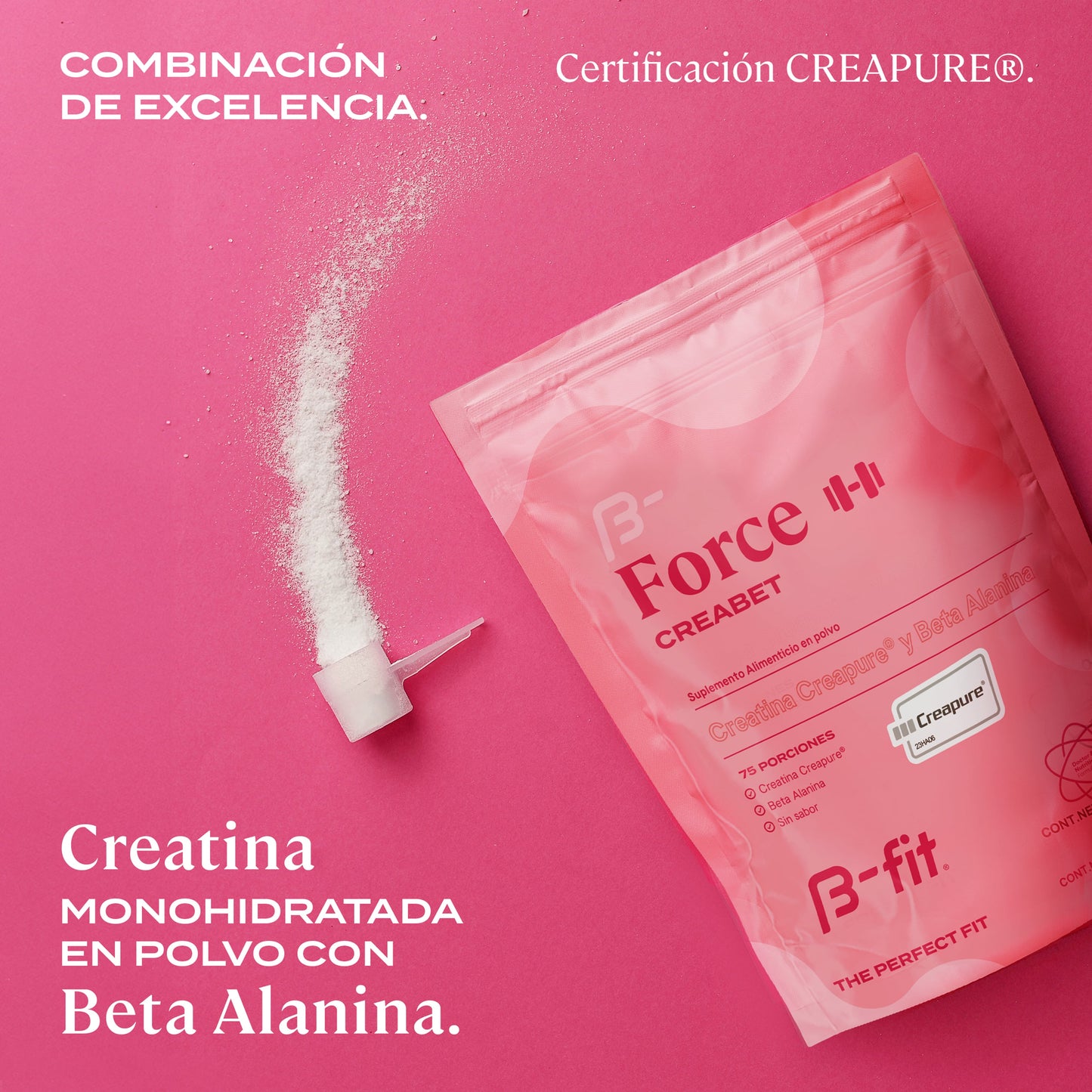 Force Creabet Creatina + Beta Alanina Creapure® 300gr (75 servicios) | B-fit