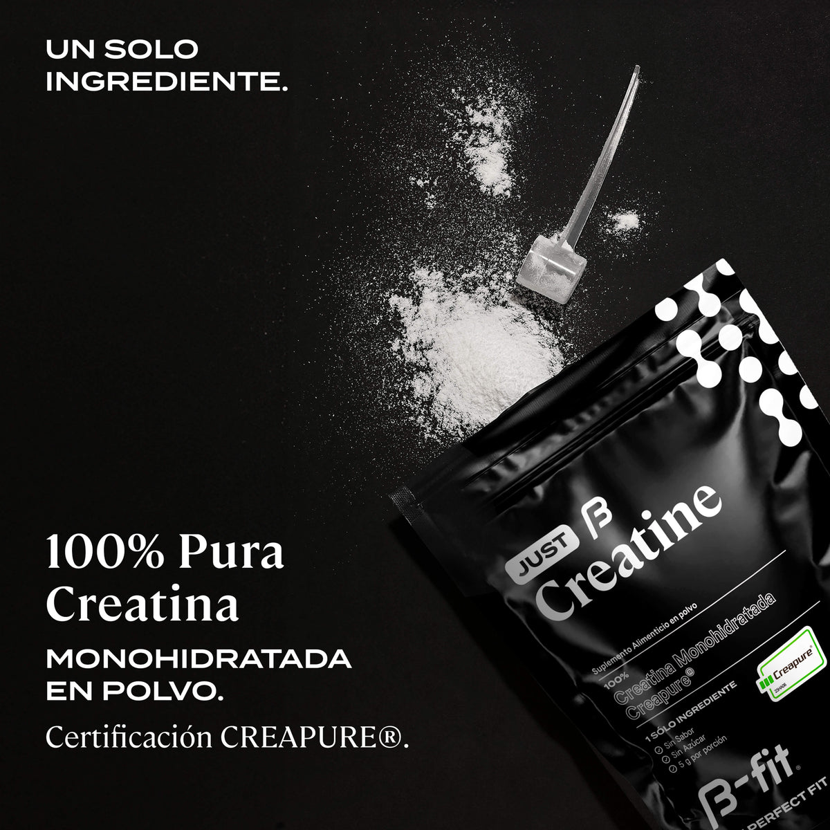 Creatina Creapure: Para tus entrenamientos | B-fit