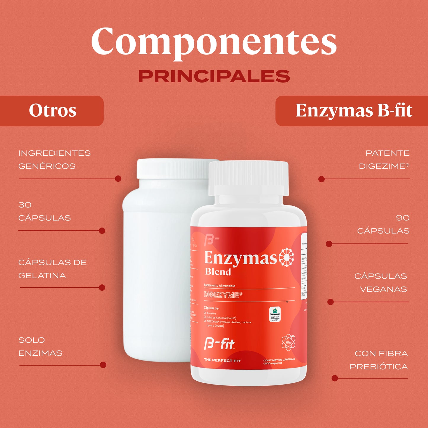 encimas digestivas