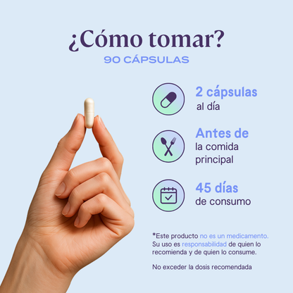 Digestivo herbal DIG3-ST - 90 Cápsulas